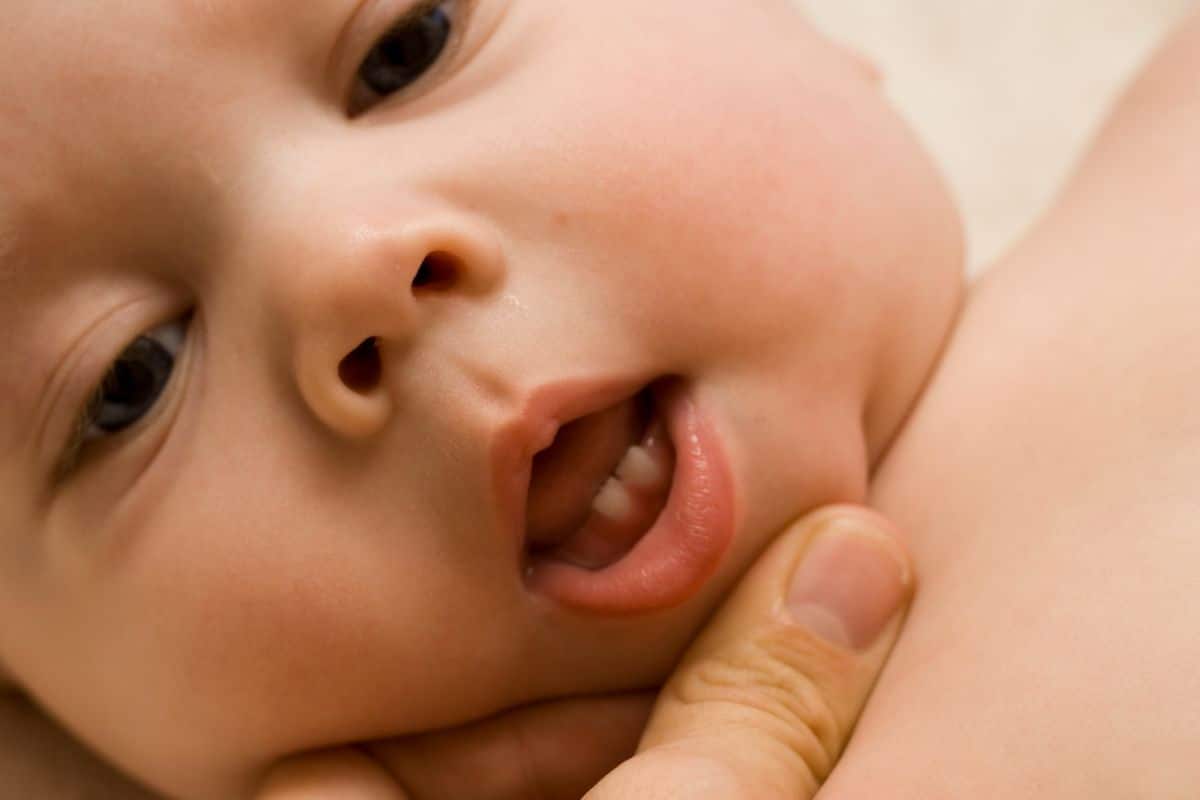 new teething appearing in baby mouth new teething appearing in baby mouth